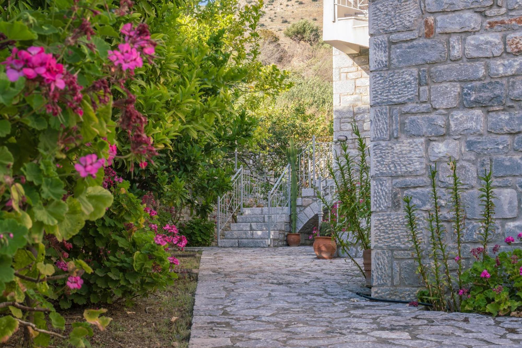 Xenios Kotronas